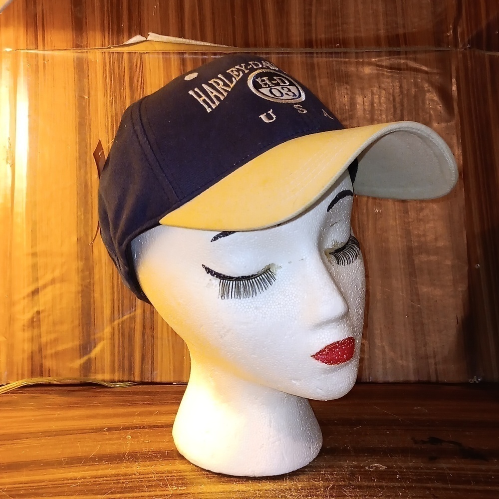 Vintage 2003 Harley Davidson cap